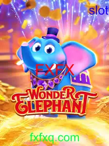 WonderElephant